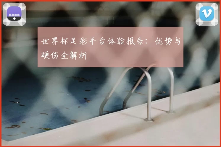 世界杯足彩平台体验报告：优势与硬伤全解析