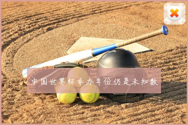中国世界杯举办年份仍是未知数