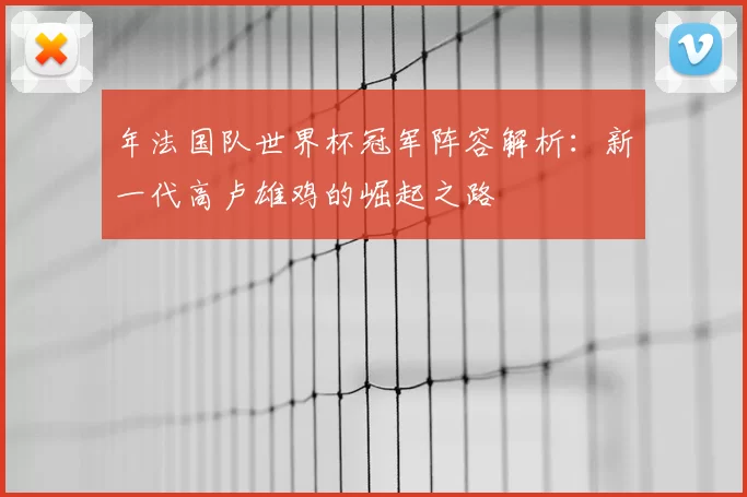 年法国队世界杯冠军阵容解析：新一代高卢雄鸡的崛起之路