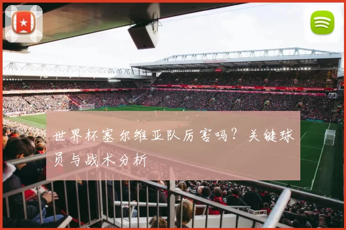 世界杯塞尔维亚队厉害吗？关键球员与战术分析