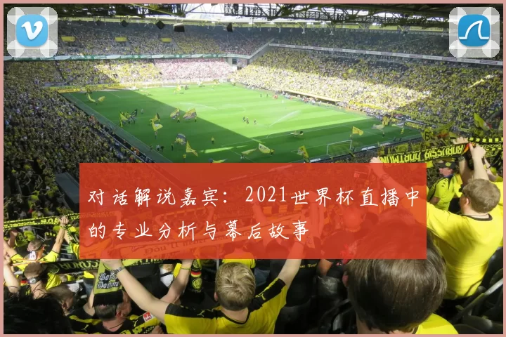 对话解说嘉宾：2021世界杯直播中的专业分析与幕后故事