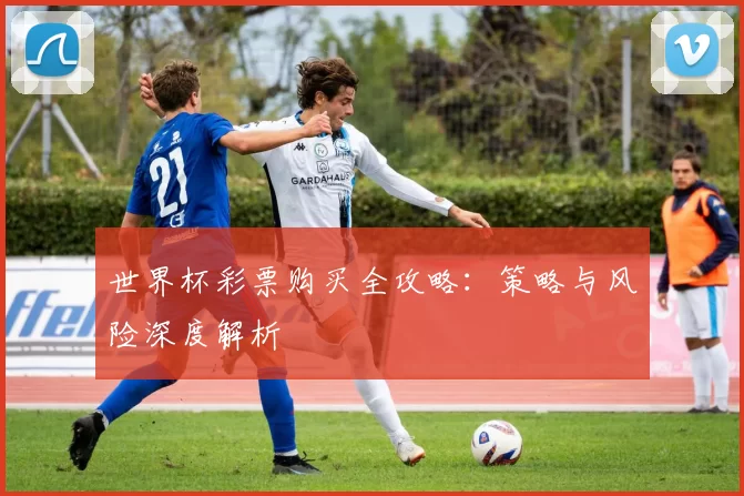 世界杯彩票购买全攻略:策略与风险深度解析