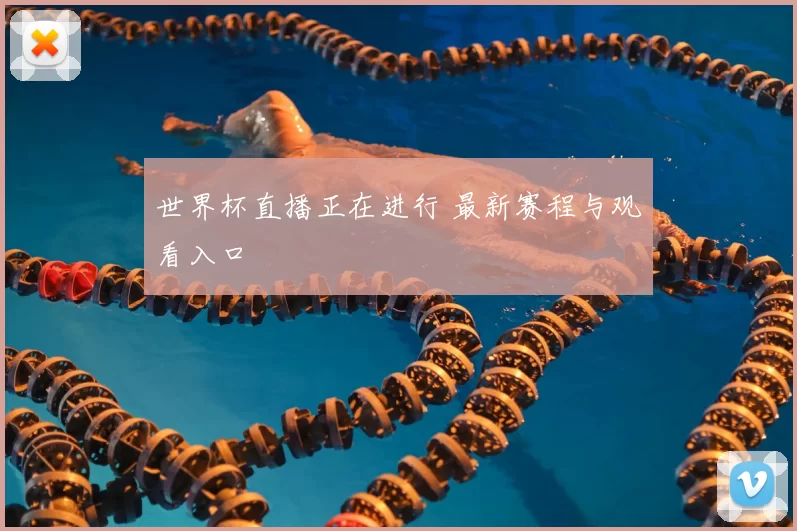 世界杯直播正在进行 最新赛程与观看入口