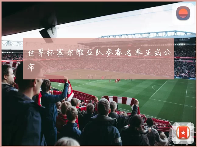 世界杯塞尔维亚队参赛名单正式公布