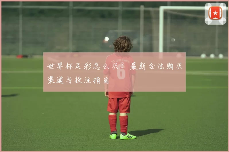 世界杯足彩怎么买？最新合法购买渠道与投注指南