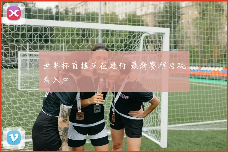 世界杯直播正在进行 最新赛程与观看入口