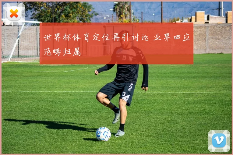 世界杯体育定位再引讨论 业界回应范畴归属