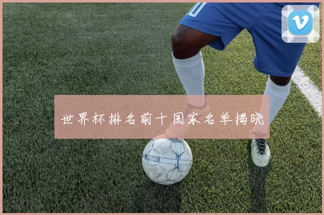 世界杯排名前十国家名单揭晓